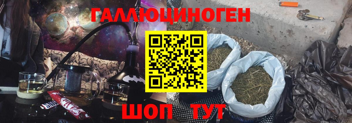 Псилоцибиновые грибы Psilocybe  Вход с VPN  хочу   Иваново 