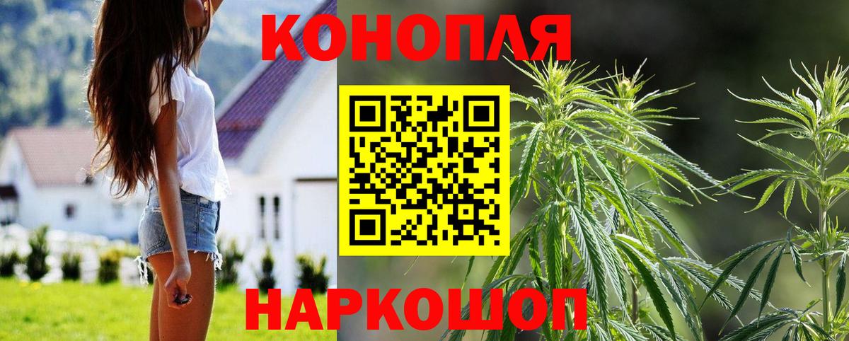 Конопля сатива  Бошки марихуана SATIVA & INDICA  Канабис MAZAR  Иваново  Вход с VPN 