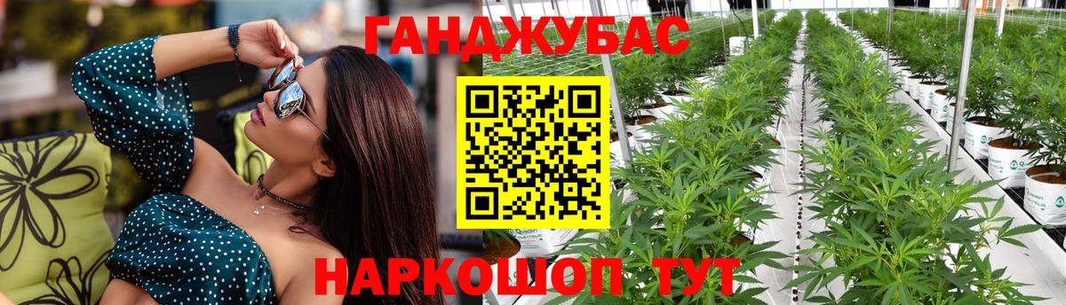 Каннабис конопля Иваново